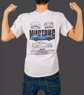 vectores plantilas PAPá,MARCA,CARROS,
